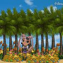 ���� ��������, ������ - ��������� 15 ���� 2014 � ������ �Tropikania�