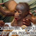 ���� �������, ��������� - ��������� 15 ���� 2014 � ������ ������ ��������