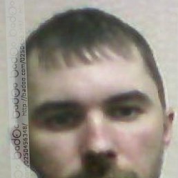 ���� ��������, �����-���������, 43 ���� - ��������� 4 ���� 2014