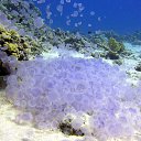 ���� ���������� ��������, ���������� �����, 57 ��� - ��������� 21 ����� 2014 � ������ ���� ����������