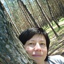 ���� ����, ��������� - ��������� 8 ��� 2014 � ������ ��������� 2014�