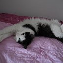 ���� ������ ���, �������, 42 ���� - ��������� 11 ���� 2014 � ������ ���� ����������