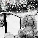 ���� ��������, �������, 32 ���� - ��������� 24 ����� 2014 � ������ ������ ��������