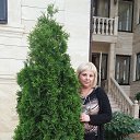 ���� �����, ������������, 49 ��� - ��������� 24 ��� 2014 � ������ ���� ����������