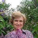 ���� ������, ������ - ��������� 6 ��� 2014 � ������ ���� ����������