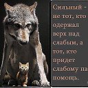 ���� ��������, ������ ����, 34 ���� - ��������� 29 ����� 2014 � ������ �$$$�