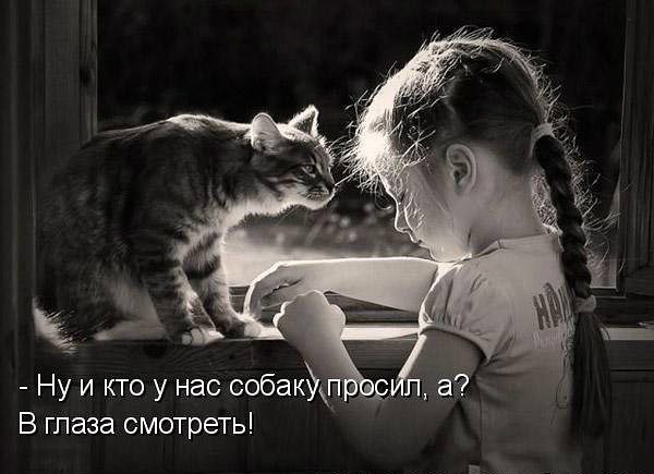  - 20  2014  10:00