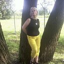 ���� ���������, ����������� - ��������� 7 ��� 2014