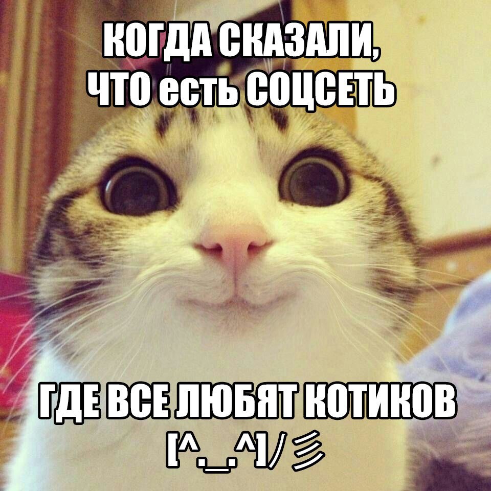     ,      ,      ... - 4