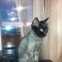 ���� ����, ��������, 61 ��� - ��������� 13 ���� 2014