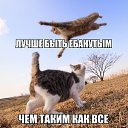 ���� �����, ����������, 37 ��� - ��������� 16 ���� 2014 � ������ ������ ��������
