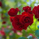 ���� �����, ����������, 58 ��� - ��������� 6 ��� 2014 � ������ ������ ��������