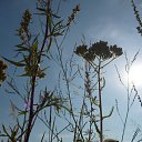 ���� �����, ������� - ��������� 18 ������� 2014 � ������ �17.08.2014�.�