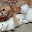 ���� Eugen, �������������� - ��������� 27 ��� 2014 � ������ ������ ��������