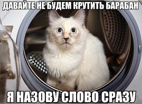  - 29  2014  21:55