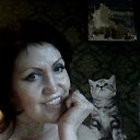  , -, 64  -  25  2014    