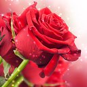���� ����, ����� - ��������� 22 ����� 2014 � ������ ���� ����������