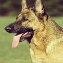 ���� ������, ������, 39 ��� - ��������� 20 ������ 2014 � ������ ���� ����������