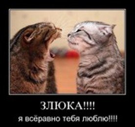 Легко любить ее, когда она улыбается? Легко любить ее уложенные волосы и тщательно накрашенную ...