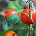 ������ 2014 �� ������� �"...�� ������ ������..."�