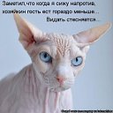 ���� �����, �����, 69 ��� - ��������� 3 ������ 2014 � ������ ������ ��������