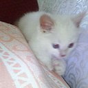 ���� ���������, ������, 46 ��� - ��������� 14 ���� 2014 � ������ ���� ����������