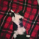 ���� Sergey, ������, 40 ��� - ��������� 18 ���� 2014