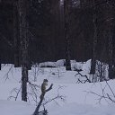 ����� ��� ���� ��������� �� ������� �������� ������ ������