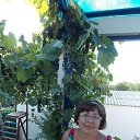  , -, 63  -  25  2014     