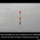 ���� ������, ������, 39 ��� - ��������� 24 ���� 2014 � ������ ������ ��������