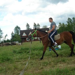 ���� �������, ������, 44 ���� - ��������� 3 ���� 2014