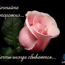 ���� ������� - �� ��������, ������ ����� - ��������� 14 ������� 2014 � ������ �������� ��������