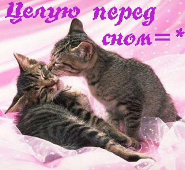 -- .... - 2