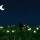 ���� ����, �����, 37 ��� - ��������� 29 ��� 2014 � ������ ������ ��������