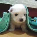 ���� Robert, ����������� - ��������� 25 ���� 2014 � ������ ���� ����������