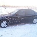 ���� �����, �����-���������, 41 ��� - ��������� 19 ����� 2014 � ������ ���� ����������