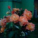  , -, 62  -  12  2014    