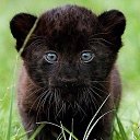 ���� ������, ���������, 47 ��� - ��������� 10 ������ 2014 � ������ ������ ��������