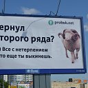 ���� �������, ������ - ��������� 24 ���� 2014 � ������ ��