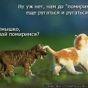 ���� ������, ������, 59 ��� - ��������� 28 ����� 2014 � ������ ������ ��������