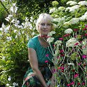 ���� �����, ������� ����, 53 ���� - ��������� 19 ���� 2014 � ������ ���� ����������