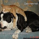 ���� ����, �����-��������� - ��������� 21 ���� 2014 � ������ ������ ��������