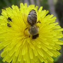 ���� ������� �����, ��������� - ��������� 24 ���� 2014 � ������ ������ ��������