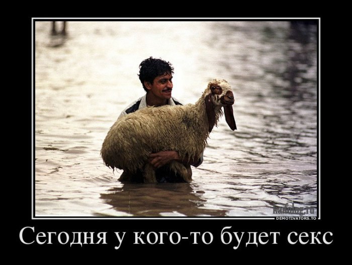����� - 27 ���� 2014 � 20:12