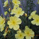  ,  -  26  2014     .