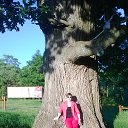 ���� �������, ������, 62 ���� - ��������� 21 ���� 2014 � ������ ���� ����� , ������� ������.�