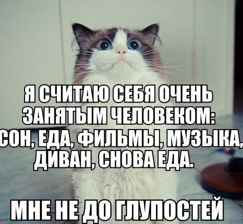 ������ - 23 ���� 2014 � 13:34