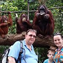 ����������� �������