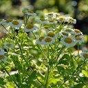 ���� ����������, ������� ��������, 63 ���� - ��������� 11 ������� 2014 � ������ ����� ����