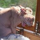 ���� ���������- ���� �������� !!, ������ - ��������� 18 ���� 2014 � ������ ������ ��������